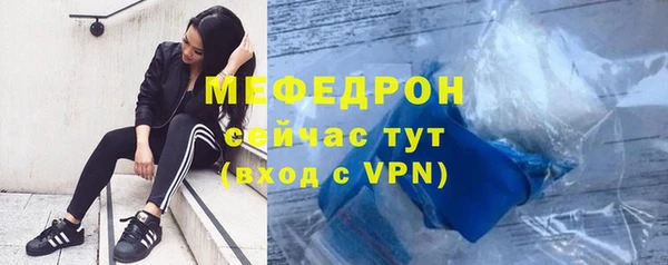 гашик Няндома