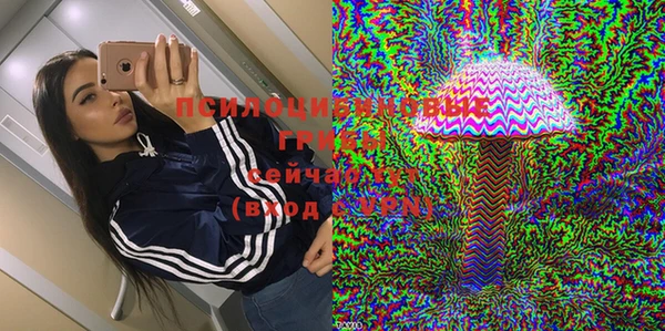 амф Нязепетровск