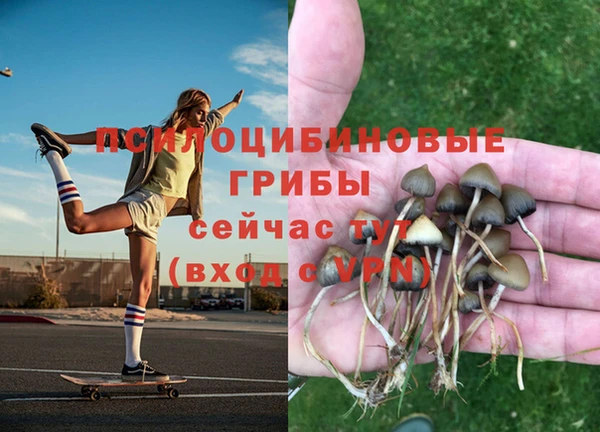 гашик Няндома