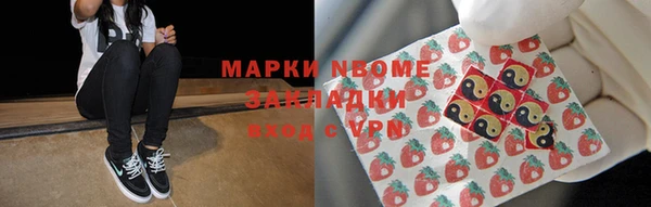 гашик Няндома