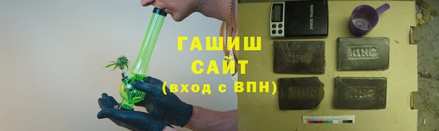 гашик Няндома