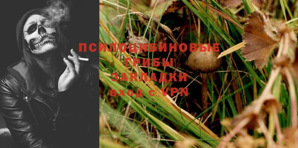 spice Нягань