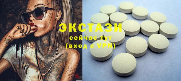 гашик Няндома
