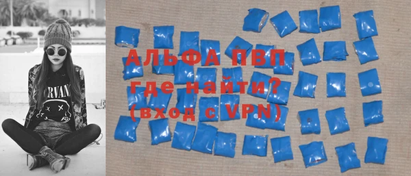 гашик Няндома
