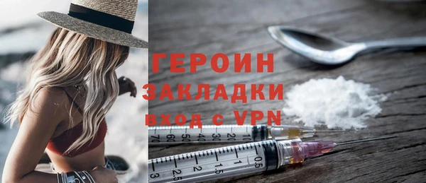 гашик Няндома